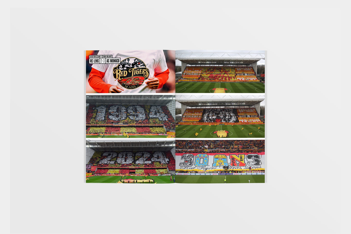 Tribunes hexagonales : L’album photos de la saison 2023-2024